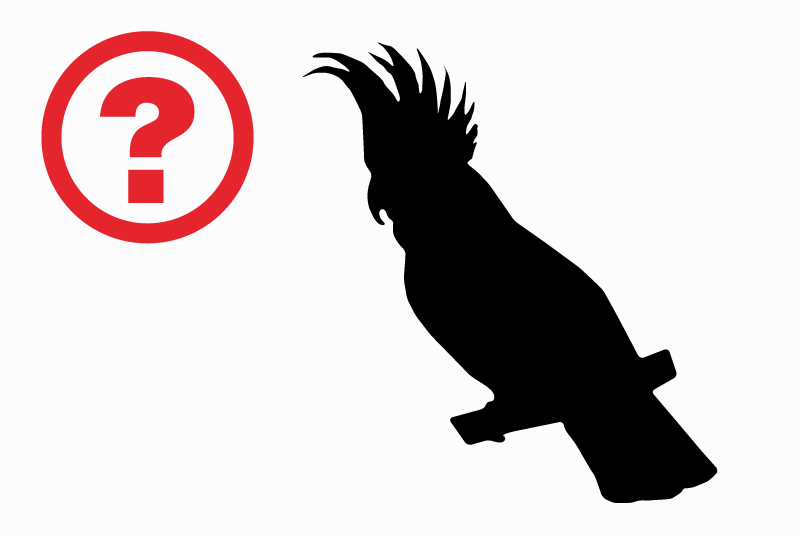 Discovery alert Bird Unknown Avignon France